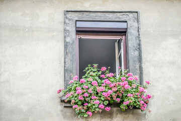 Fototapeta na wymiar A window decorated with pink flowers.