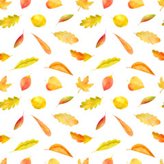 Watercolor autumn set seamless patterns of leaves, branches, mushrooms, acorns. Perfect for your Thanksgiving design