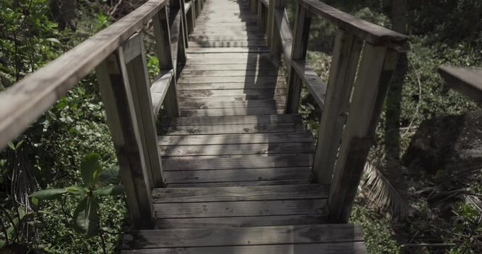wooden bridge in the forest.  Wooden boardwalk stairs steps leading beach palm trees seaside.