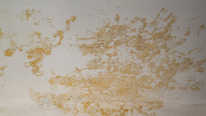 Flooding rainwater, causing damage, peeling paint and mildew.