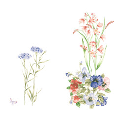 Flowers watercolor illustration.Manual composition.Big Set watercolor elements，Design for textile, wallpapers，Element for design,Greeting card