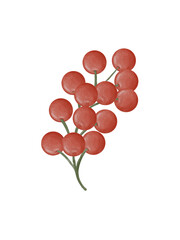 cute bunch of Christmas red cheery onament decoration watercolor illustration