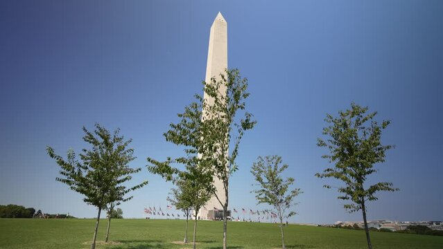 View of the Washington Monument in Washington DC through the trees around it.