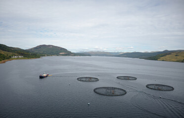 Fish farm salmon round nets in natural environment Loch Fyne Arygll and Bute Scotland