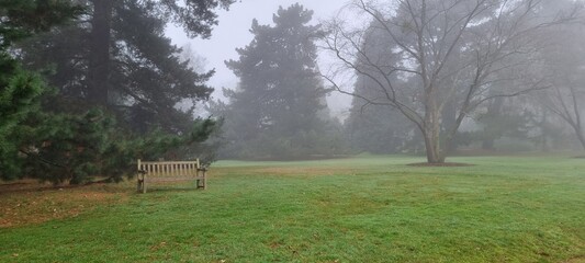 Misty park and bench