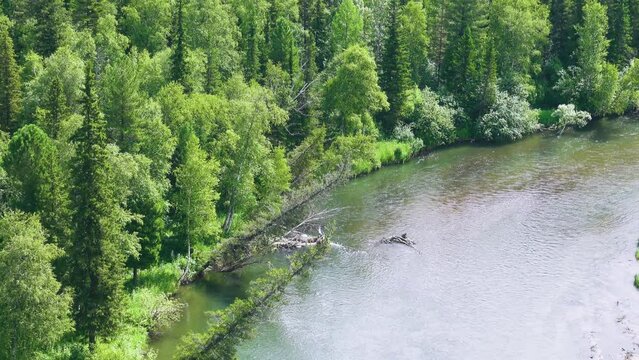 Middle Siberia, Krasnoyarsk Territory. Hilly (coniform hill) river bank, pour. Taiga mixed forests