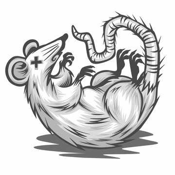 Vector illustration of dead rats