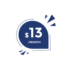 13 dollar price tag. 13$ dollar USD price symbol. price 13 Dollar sale banner in USD. Business or shopping promotion marketing concept

