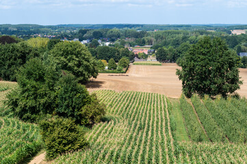 Fototapeta na wymiar Rural scene with agricutlure fields at the Flemish countryside around Tielt-Winge, Belgium