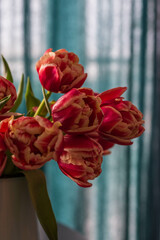 a bouquet of red tulips in a naked enameled jug on a round wooden table in the interior