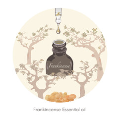 フランキンセンスのイラスト・精油＆アロマ