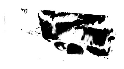 Grunge Black And White Painting Overlay 31