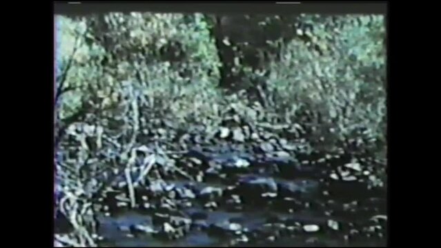 1960s multiple shots of nature. Sign that says "Area unsafe for swimming"