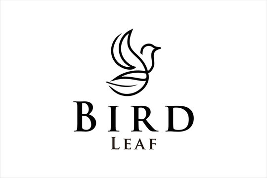 bird fly animal with leaf abstract nature symbol line art
