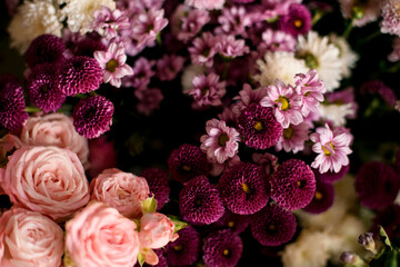 close-up of chrysanthemum flowers and roses in pink and purple colors
