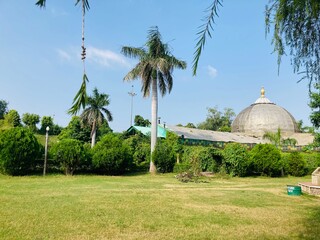 Beautiful view of botanical garden in alwar, rajasthan, India