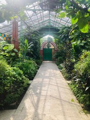 Alwar Shimla park inner view 