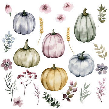 Beautiful set of watercolor pumpkins with flowers isolated on white background, botanical illustrations, hand drawing