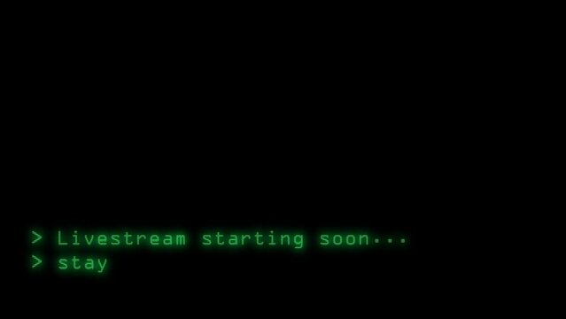 Computer retro style. Text Typing.
Livestream screen starting soon. Preloader. Connection breaking up with glitch effect.