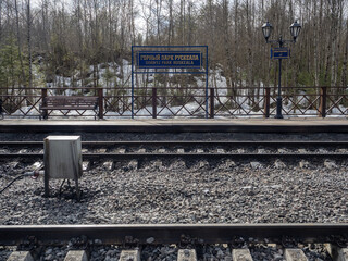 railroad tracks in the forest