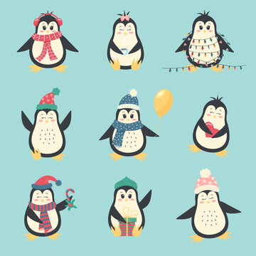 Cute winter penguins set. Christmas characters in warm clothing and different accessories. Vector illustration
