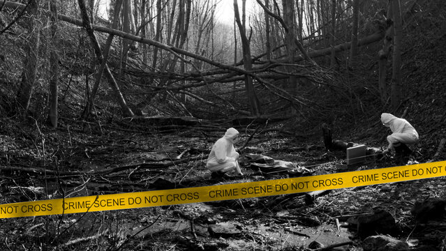 Detectives are collecting evidence in a crime scene. Forensic specialists are making expertise. Police investigation in a forest. Black and white image with yellow police line.