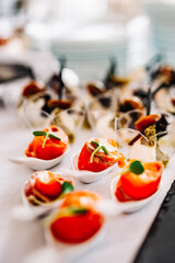 salmon appetizers served with white spoons,including smoke salmon rolls and cheese. buffet or catering.