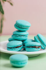 Plate of sweet pastel colored macarons