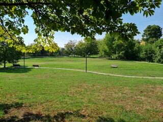 prato e alberi nel parco