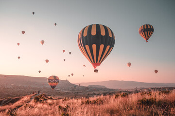 Naklejka premium Colorful hot air balloons. Popular tourist attraction - sunrise watching in Cappadocia. Scenic view over autumn orange grass field. Amazing natural summer morning scenery. Best famous travel location