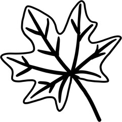 simplicity maple leaf freehand drawing flat design.