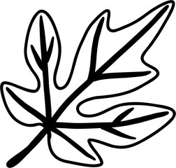 simplicity maple leaf freehand drawing flat design.
