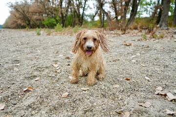 Moca Slovakia 2022 July