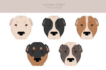Kazakh Tobet clipart. Different coat colors set