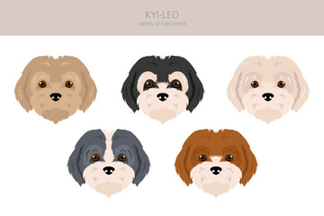 Obraz na płótnie Canvas Kyi-Leo dog clipart. Different coat colors set