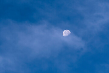 Naklejka na ściany i meble Day Moon Glowing in Blue Sky with White Cloud Overlay