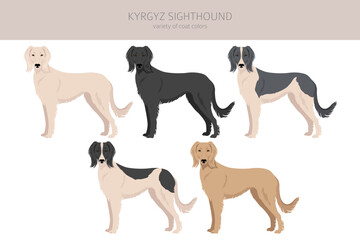 Kyrgyz sighthound clipart. Different coat colors set