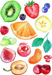 Watercolor exotic fruit berry slice set isolated