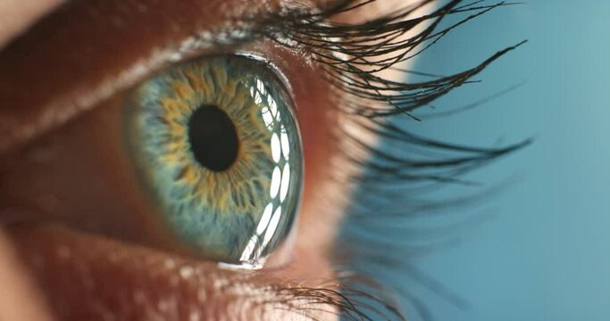 Macro of eye, vision and thinking of future, idea and insight. Closeup zoom of blue or green contact lens, iris and retina with a person looking at a light during during an eye exam at optometrist.