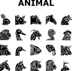 animal zoo nature wildlife icons set vector. lion, elephant, jungle safari, fox, funny baby, zebra tiger, bear, giraffe, nature animal zoo nature wildlife glyph pictogram Illustrations