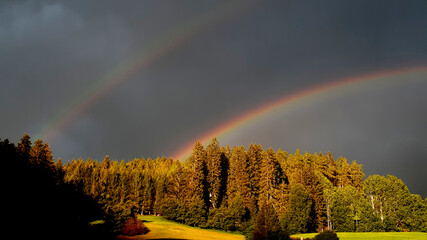 Double rainbow over the forest