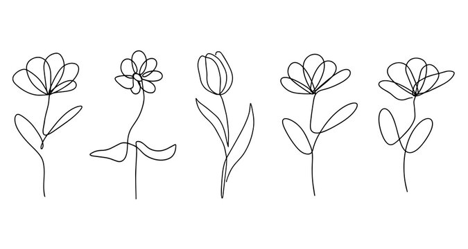 Set of monoline flowers