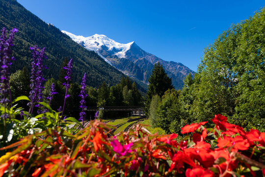 Two snowy mountains in the Alps, called Aiguille du Goûter and Dome du Goûter, as seen from the town of Chamonix, France, in summer, surrounded by flowers, trees and green grass
