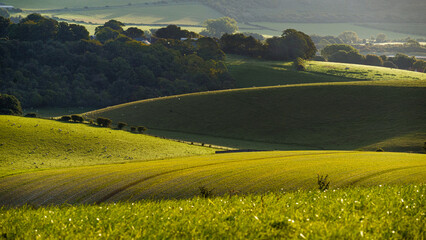  Morning sunshine over the Sussex Downs