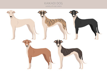 Kaikadi dog clipart. Different coat colors set