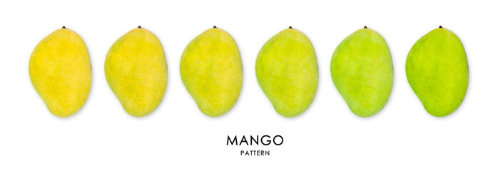 Raw mangoes and ripe patterns on white isolation for decoration