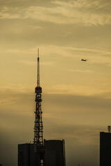 Obraz premium 東京の町並みと夕景と飛行機