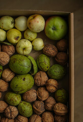 Storage of nuts and apples. A large group of harvest garden unshelled nuts