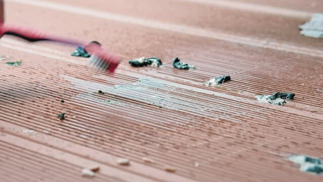 Person Wearing Protective Latex Gloves Cleaning Bird Poop Droppings from Composite Plank Floor on Balcony Using Paper Towel