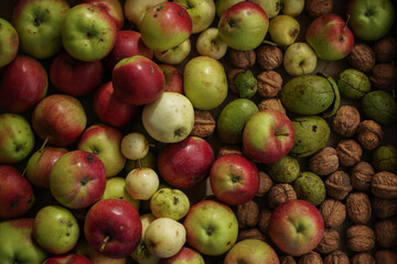 Storage of home harvest. Ukrainian harvest, peeled fresh walnuts and various natural apples in a box
